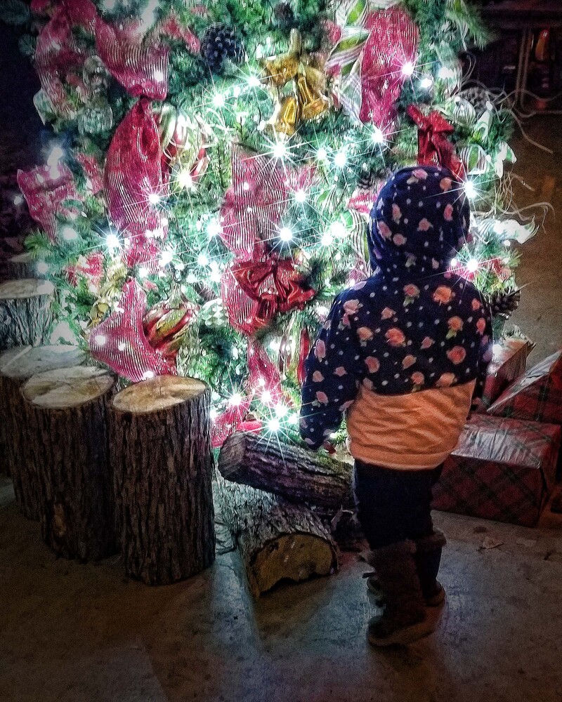 little girl in cute parka gazes at the beautifully decorated Christmas Tree at the Pavilion