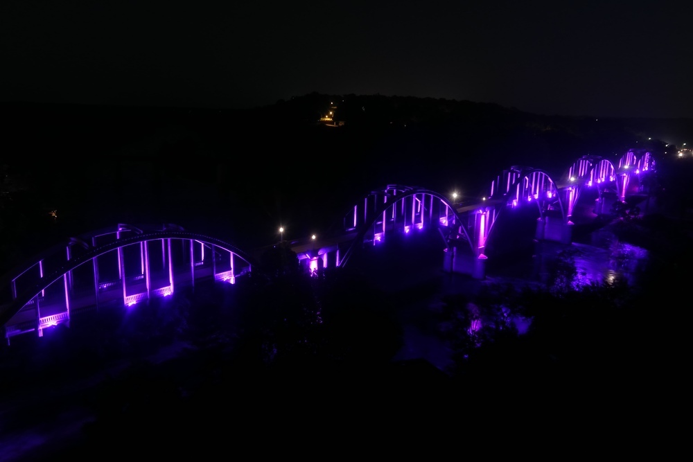 40 PURPLE