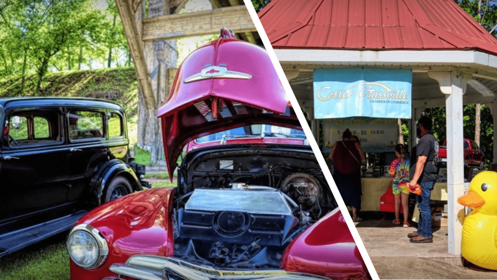 collage of two old cars under Cotter Bridge and the gazebo at Bring Spring Park where people are buying tickets for the duck race