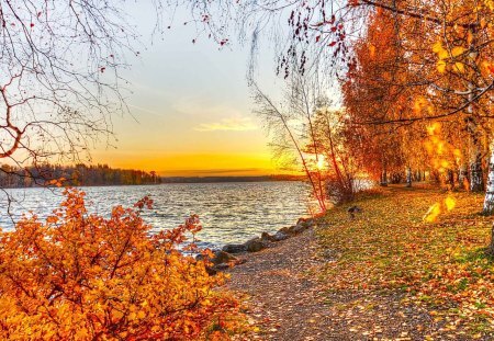 fall colored trees over the lake 