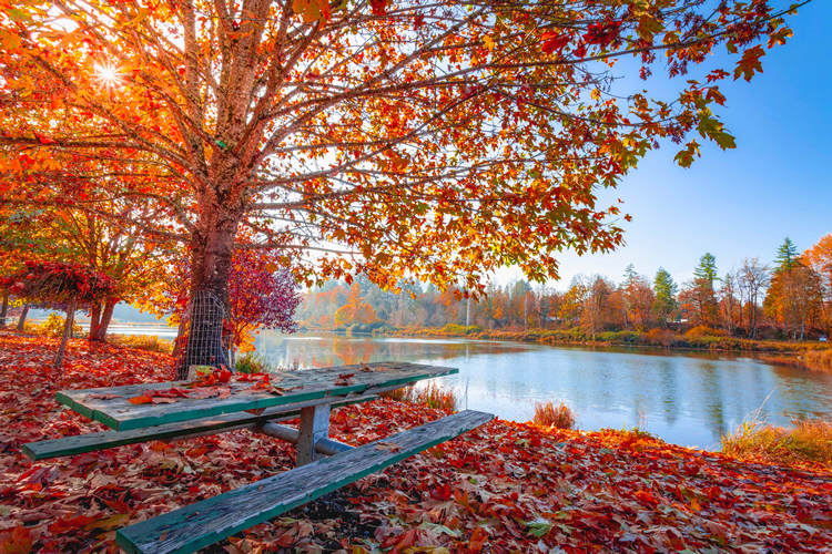 autumn colors and lake