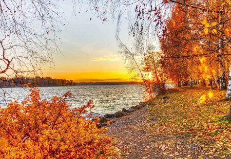 fall leaves by lake