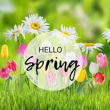 Hello Spring and flowers 
