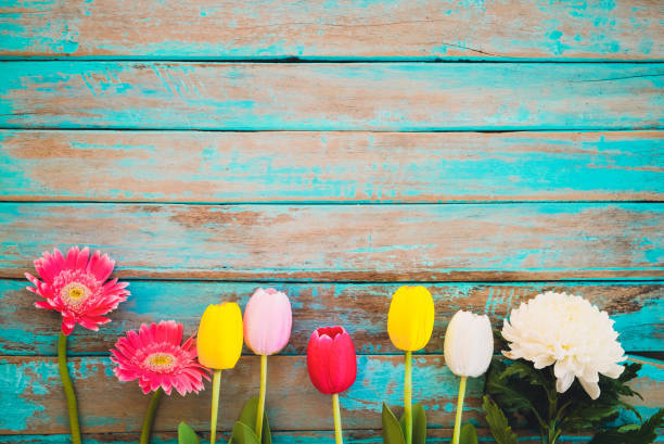 Hello spring 