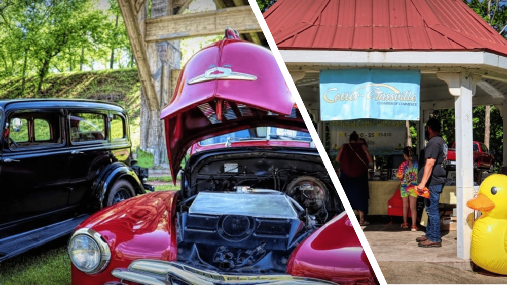 duck race and car show 