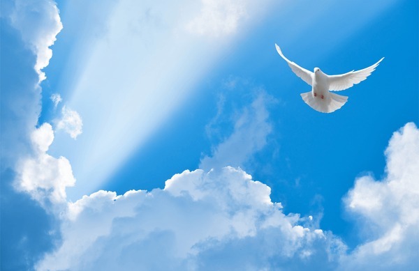 dove flying to heaven