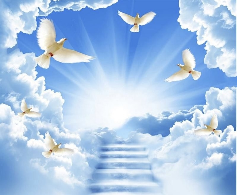 Doves flying to Heaven