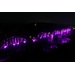 Cotter Bridge lit in magenta lights
