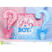 Girl or Boy sign for a gender reveal